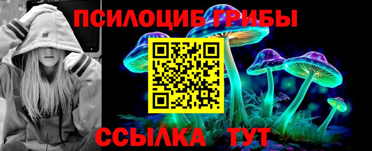 Топки  Галлюциногенные грибы прущие грибы  Вход с VPN 